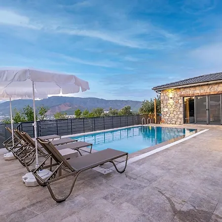 Zeytin Villa *