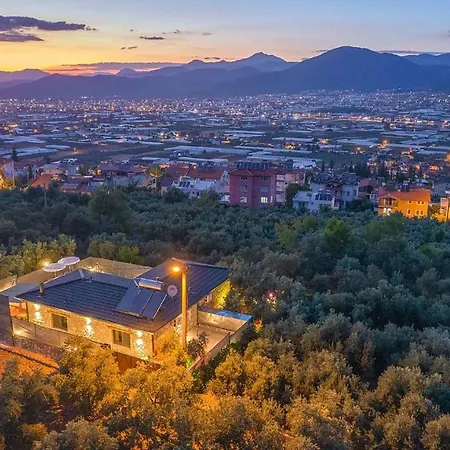 Zeytin Fethiye